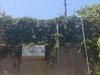 Filename=DSC00312.jpg
Filesize=615KB
Dimensions=2048x1536
Date added=Mar 15, 2008 DSC00312.jpg