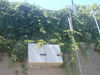 Filename=DSC00315.jpg
Filesize=482KB
Dimensions=2048x1536
Date added=Mar 15, 2008 DSC00315.jpg